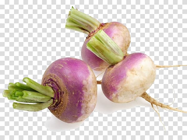 Turnip Root Vegetables Rutabaga Radish, turniphd transparent background PNG clipart