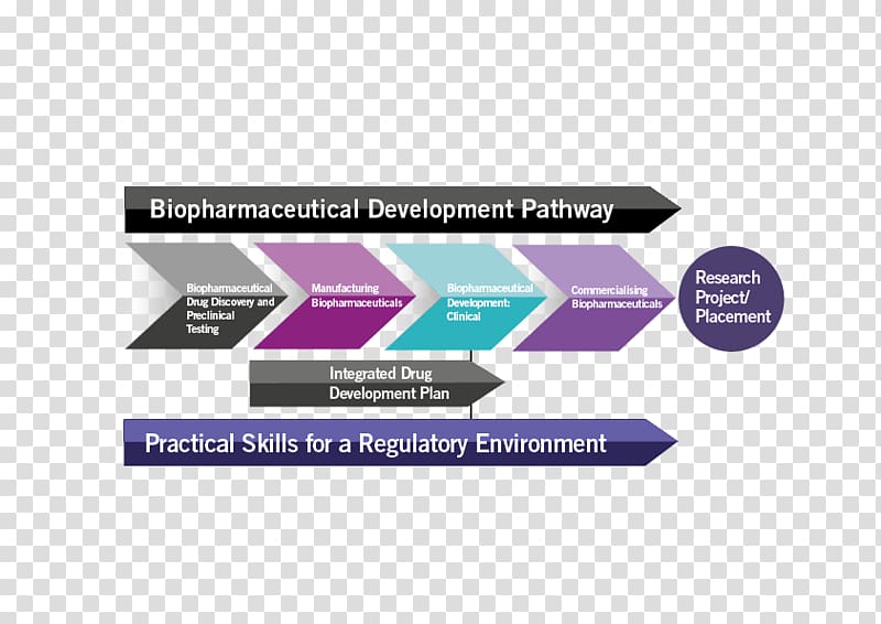 Drug development Biologic Pharmaceutical drug Pharmaceutical industry Drug discovery, biopharmaceutical transparent background PNG clipart