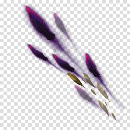 Feather League of Legends Bird Quill Wing, underbrush 0 2 1 transparent background PNG clipart