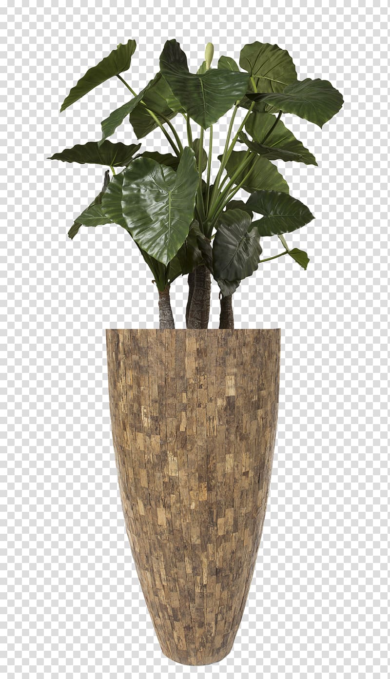 Hydrozorg Interieurbeplanting Flowerpot Vase Teak, others transparent background PNG clipart