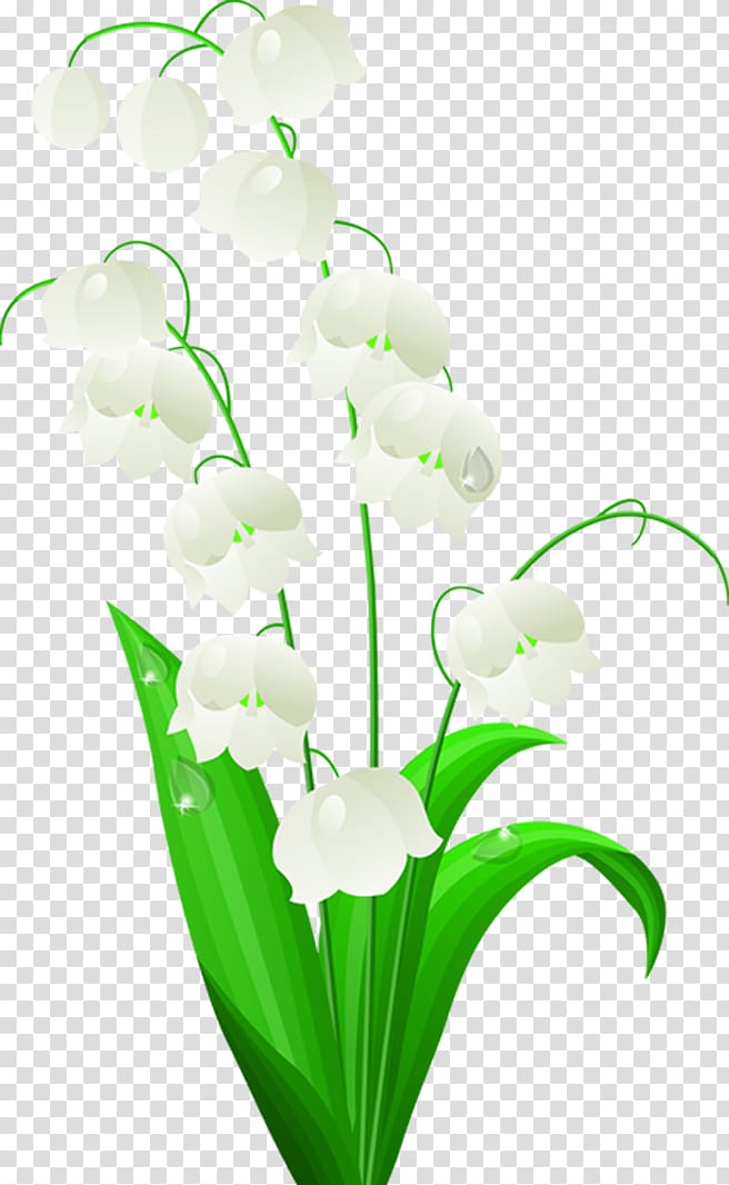 Lily of the valley Tattoo Flower Lilium Lilies of Japan, White cartoon lily flower design transparent background PNG clipart