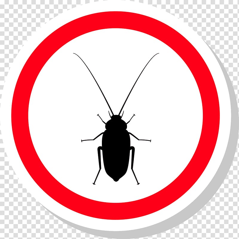 Insect Invertebrate Arthropod Circle , cockroach transparent background PNG clipart