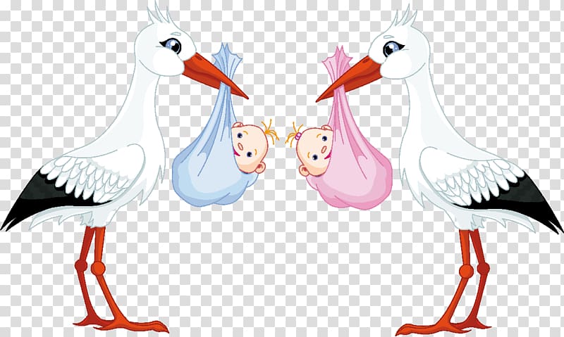 White stork Infant , baby shower transparent background PNG clipart