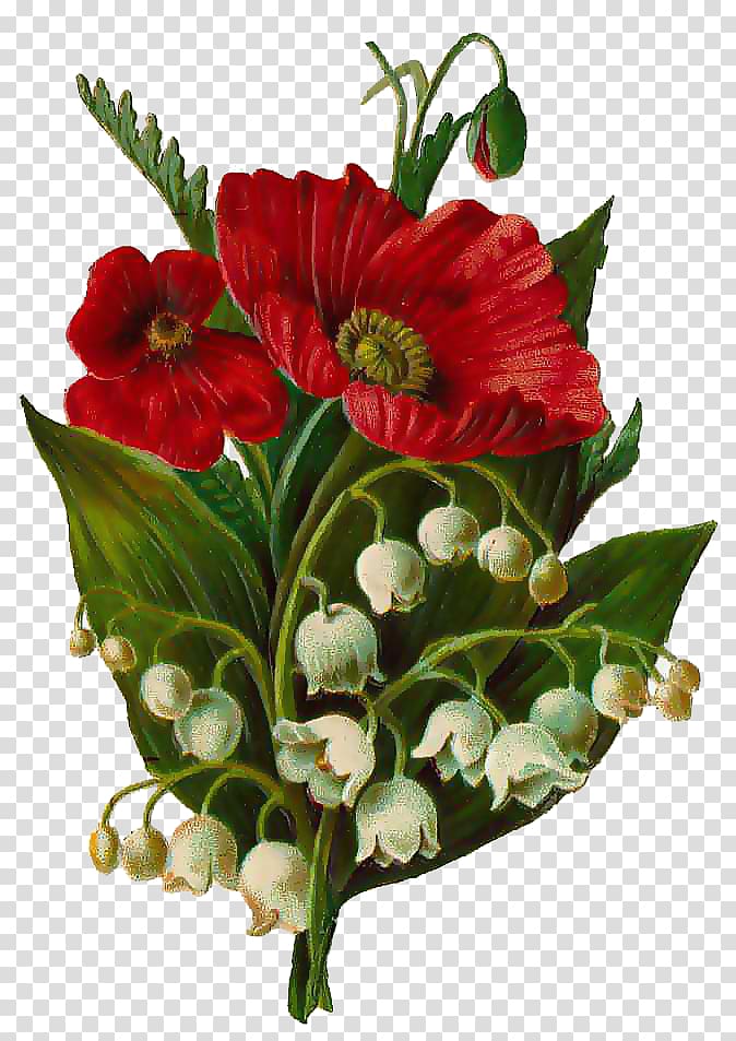 Lily of the valley Common poppy Lilium Opium poppy, lily of the valley transparent background PNG clipart