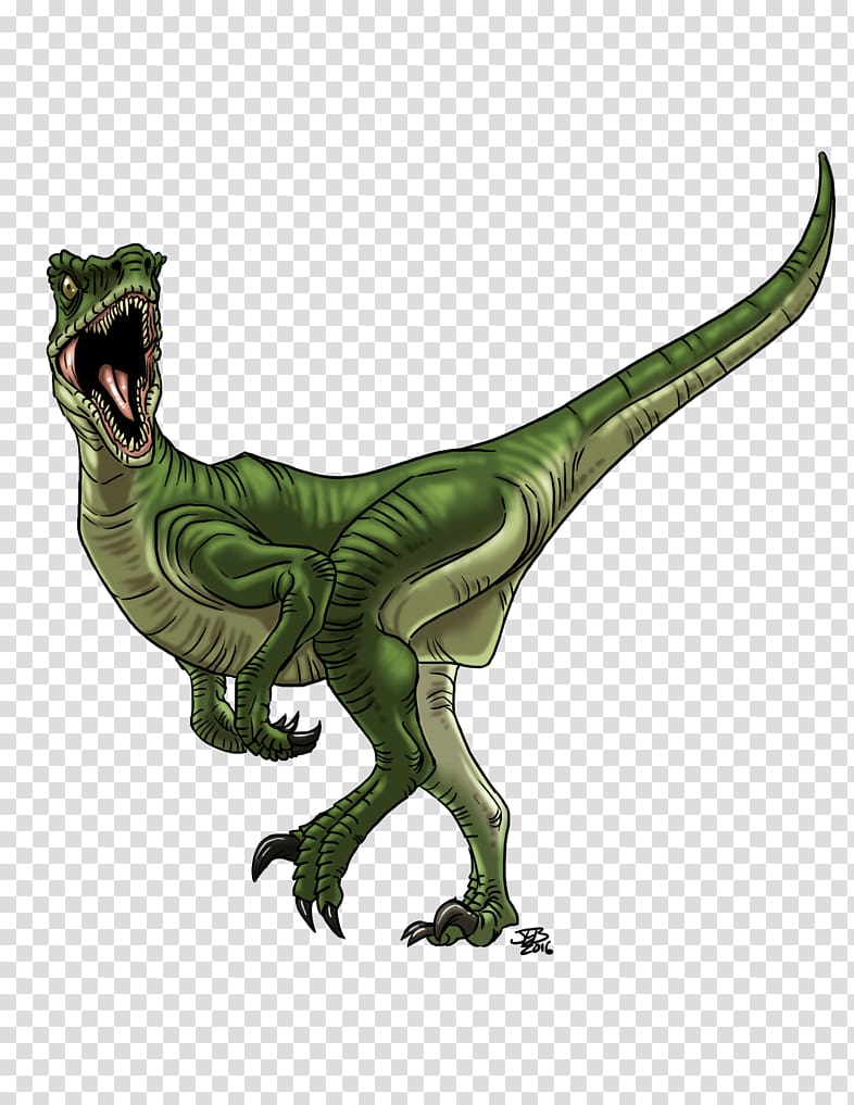 Velociraptor Deinonychus Raptor Red Utahraptor Dinosaur, dinosaur transparent background PNG clipart