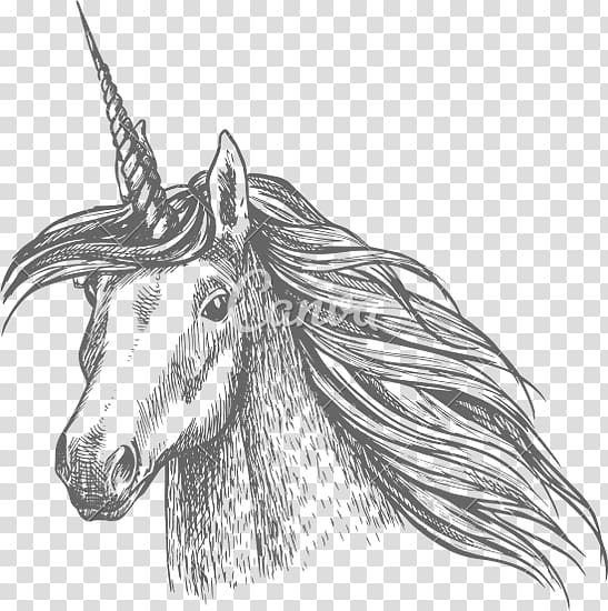 Horse Unicorn Sketch, unicorn head transparent background PNG clipart