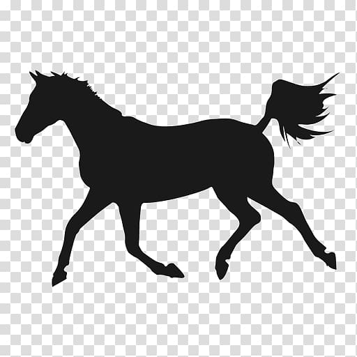 Shagya Arabian Mare Equestrian, Silhouette transparent background PNG clipart