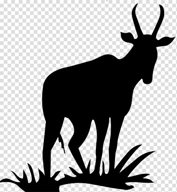 Antelope Pronghorn Deer Silhouette , Dog Bone Silhouette transparent background PNG clipart