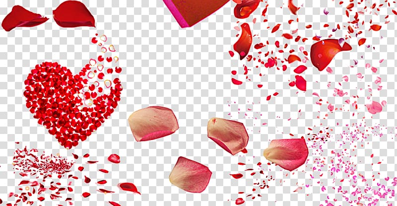 Beach rose Petal Heart, Love rose floating elements transparent background PNG clipart