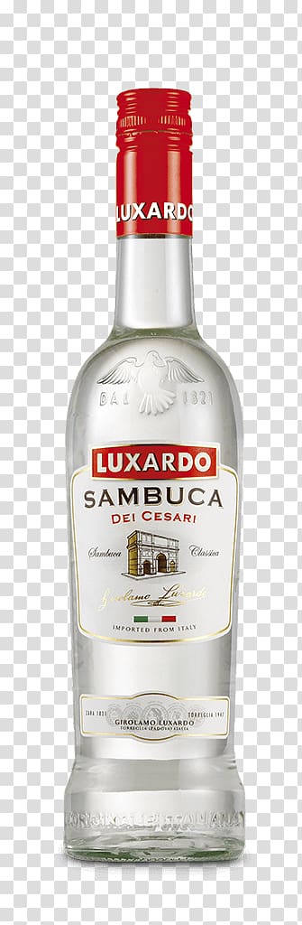 Sambuca Liqueur Amaretto Italian cuisine Passione Nera, Anise Liquor transparent background PNG clipart