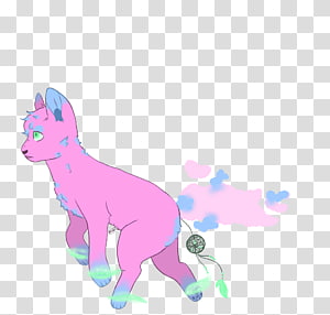 Whiskers Cat Pony Horse Canidae, Cat transparent background PNG clipart thumbnail