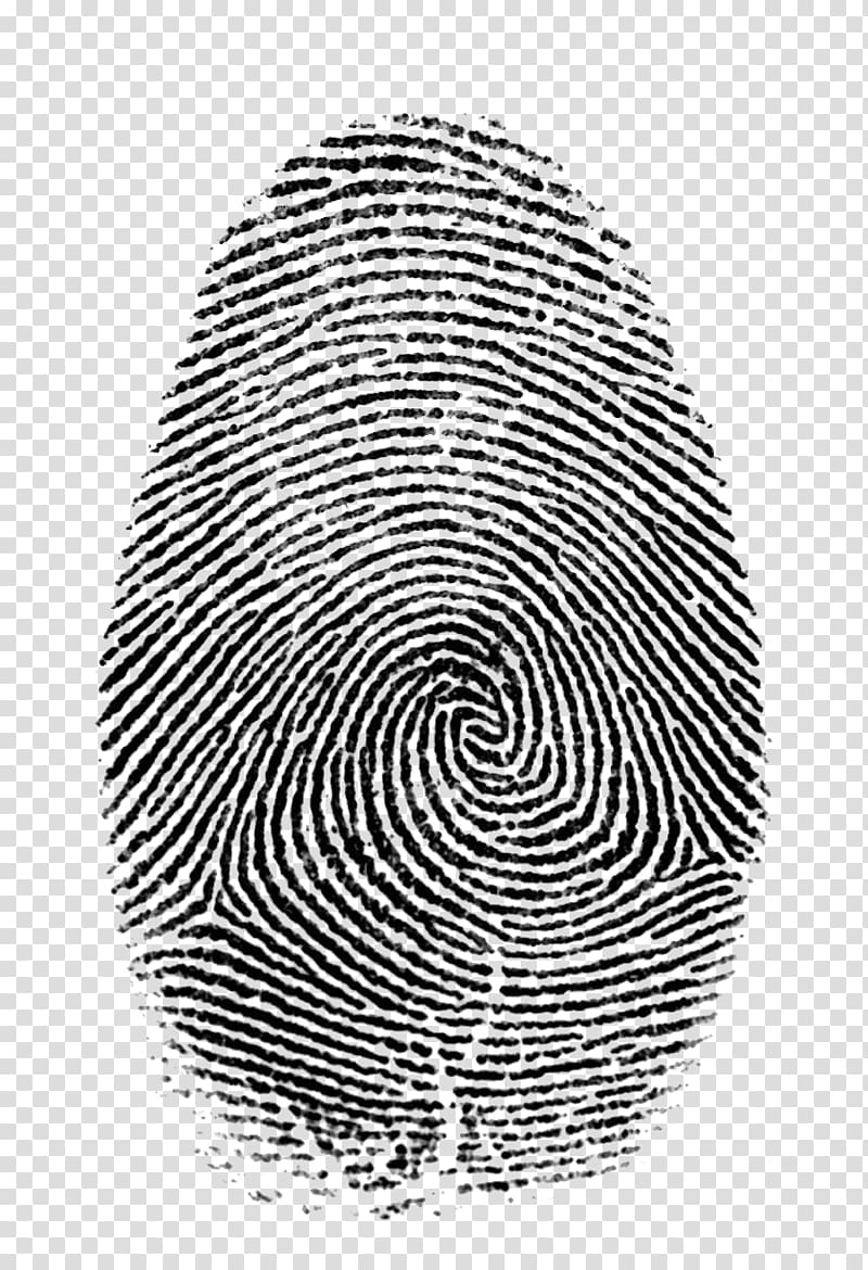 Fingerprint Forensic science Live scan Hand, criminal transparent background PNG clipart