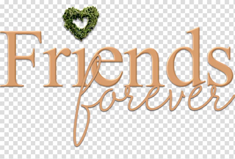 Friend Association Organization Friendship Non-profit organisation Volunteering, friendship transparent background PNG clipart