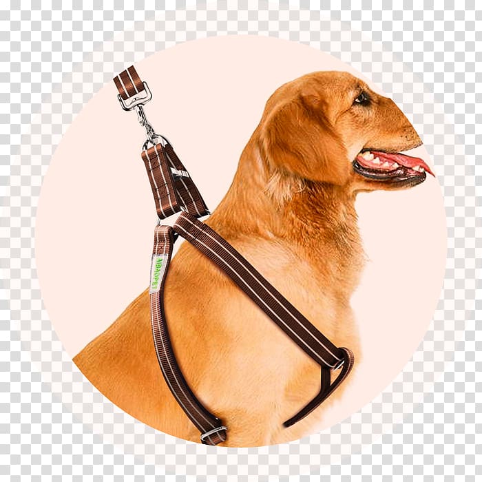 Dog harness Leash Dog collar Horse Harnesses, 2018 figures transparent background PNG clipart