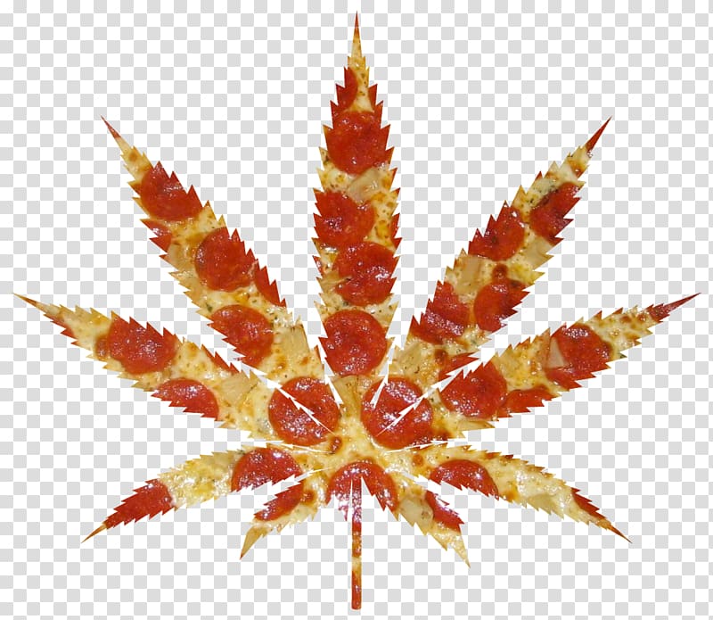 Kush Cannabis smoking Bong 420 Day, pot leaf transparent background PNG clipart
