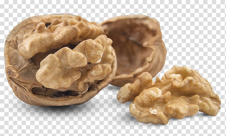 Walnut Hazelnut Almond, walnut transparent background PNG clipart