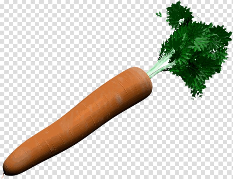Carrot Vegetable Knackwurst, carotte transparent background PNG clipart