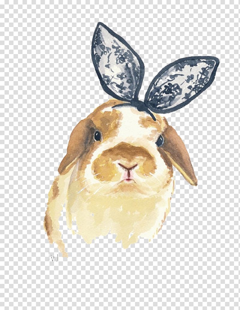 guinea pig artwork, Holland Lop Rabbit Watercolor painting Printmaking, Lace bow Rabbit material transparent background PNG clipart