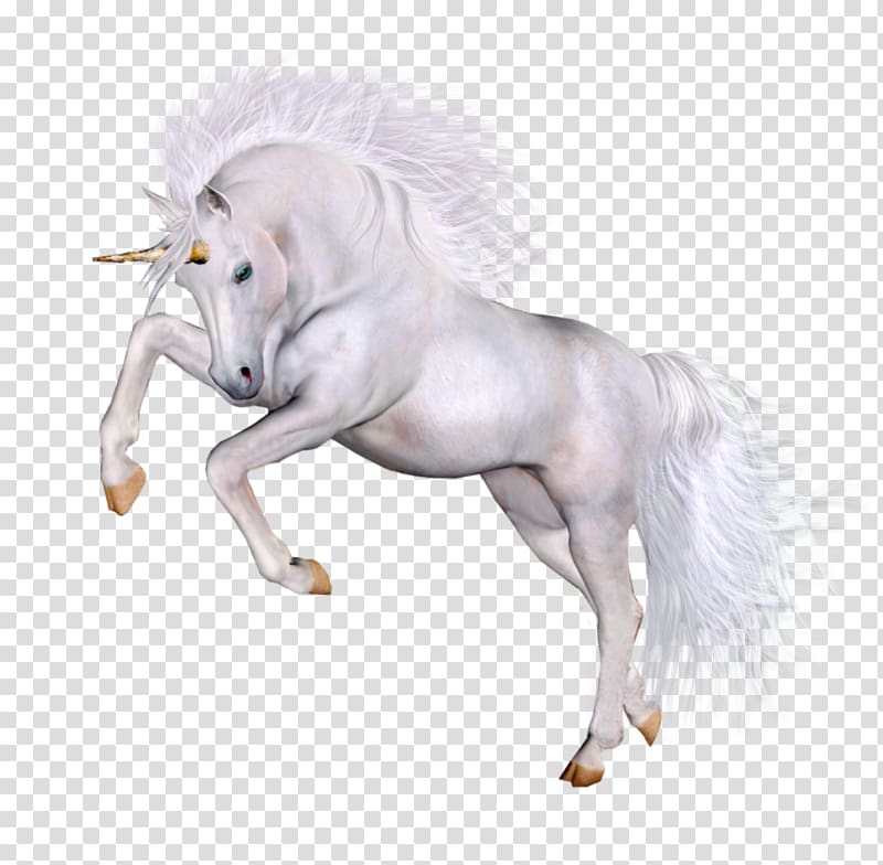 Horse Unicorn, unicorns transparent background PNG clipart