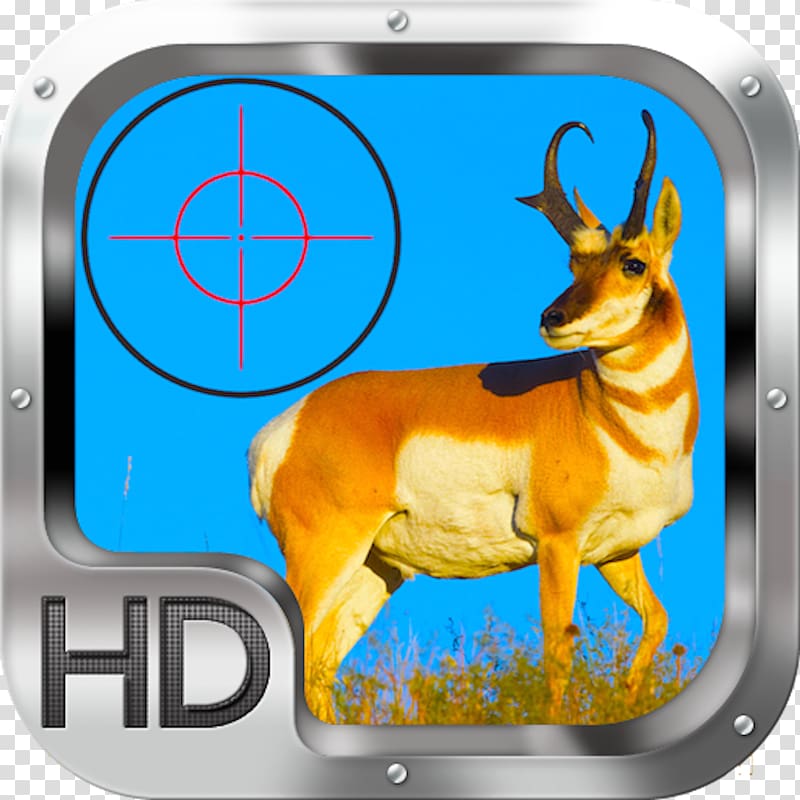 Pronghorn Antelope Deer Best of the West Outfitters Hunting, antelope transparent background PNG clipart