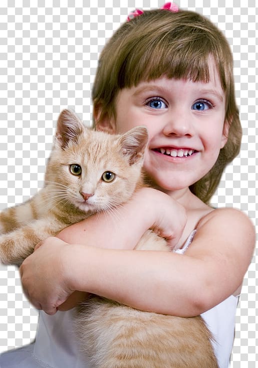 Cat Kitten Dog Pet adoption, Cat transparent background PNG clipart
