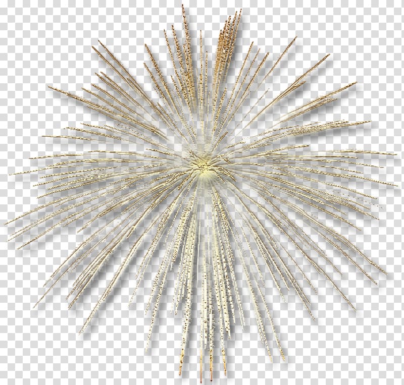 Adobe Fireworks, Fireworks transparent background PNG clipart