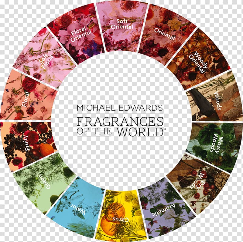 Fragrances of the World Fragrance wheel Perfume Aroma compound Olfaction, incense transparent background PNG clipart