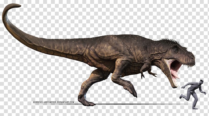 Tyrannosaurus Carcharodontosaurus Deinosuchus Tarbosaurus Giganotosaurus, t rex transparent background PNG clipart