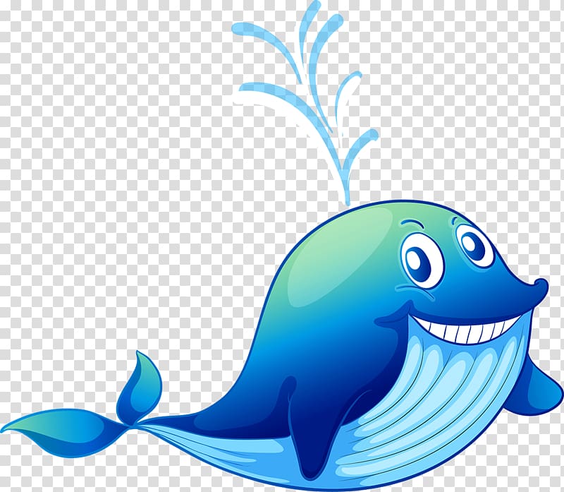 Shark Dolphin Blue whale, Water sharks transparent background PNG clipart