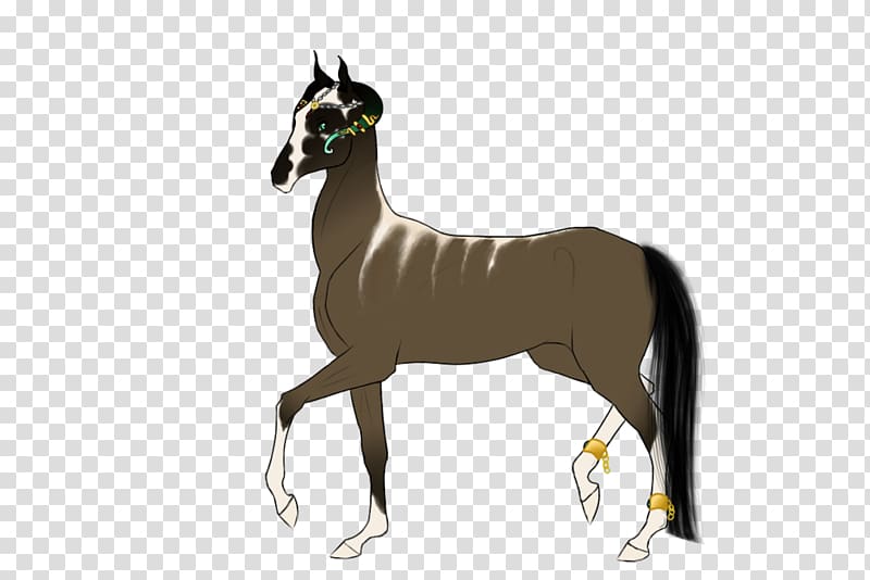 Foal Mare Stallion Mane Mustang, mustang transparent background PNG clipart