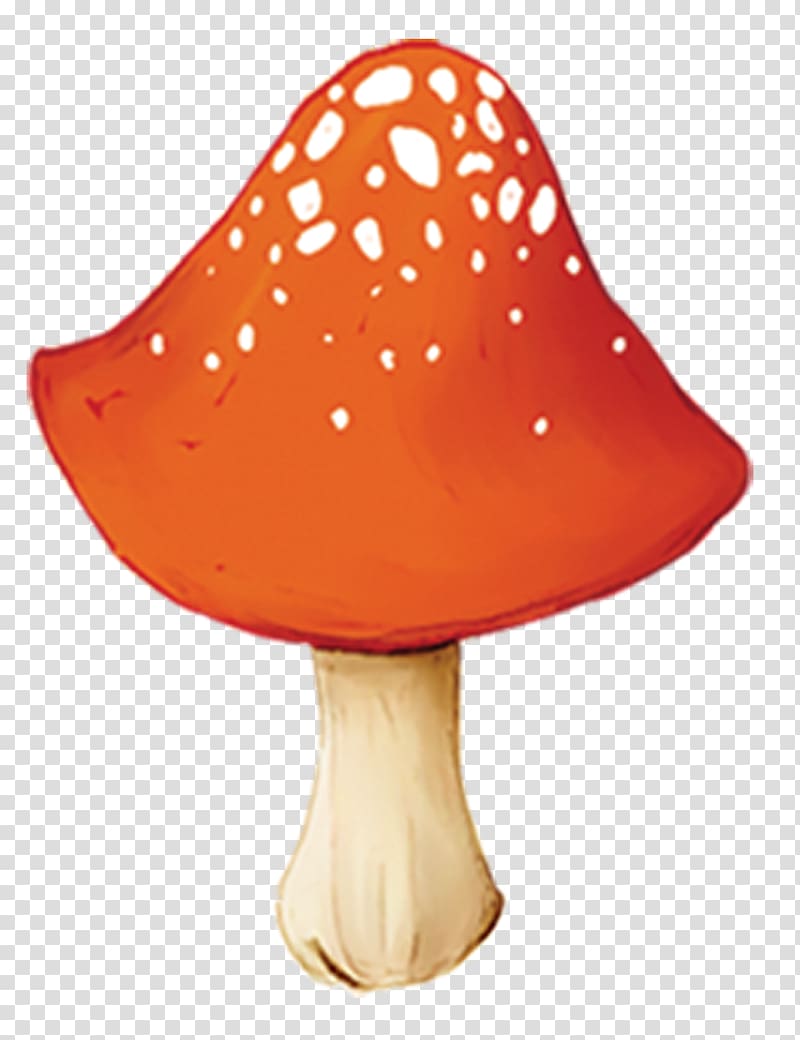 Orange Fungus Mushroom, Wild mushroom teacher transparent background PNG clipart