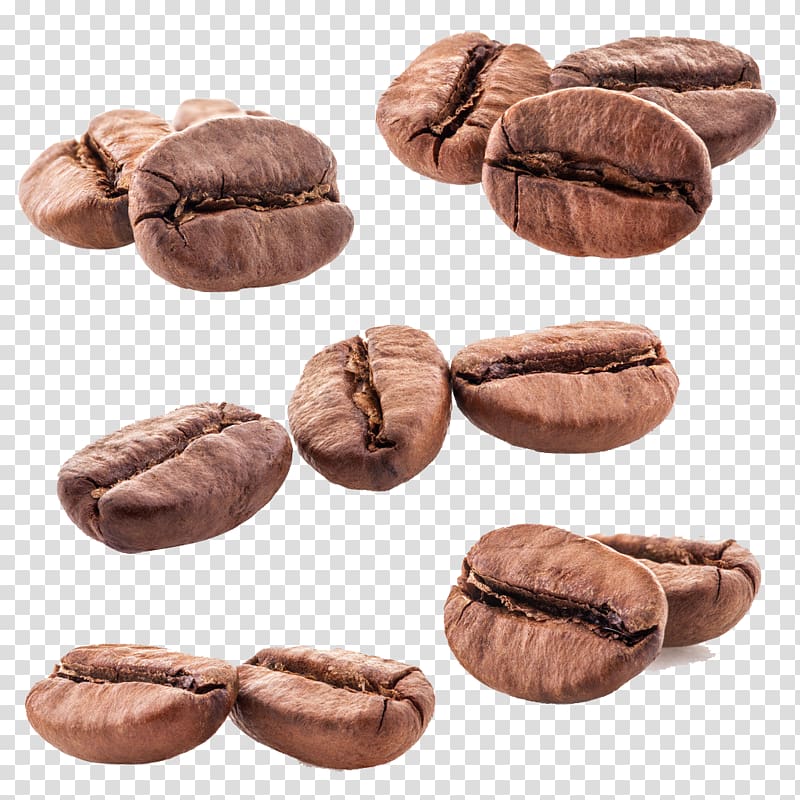 coffee beans , Coffee bean Espresso Cafe Coffee cup, coffee transparent background PNG clipart
