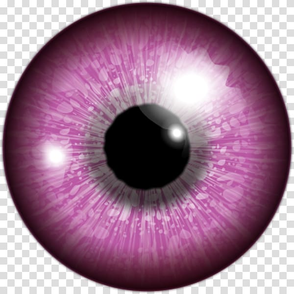 Human eye Iris Color, watching transparent background PNG clipart