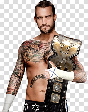 CM Punk WWE Championship World Heavyweight Championship Money in the Bank ladder match WWE Intercontinental Championship, cm punk transparent background PNG clipart thumbnail