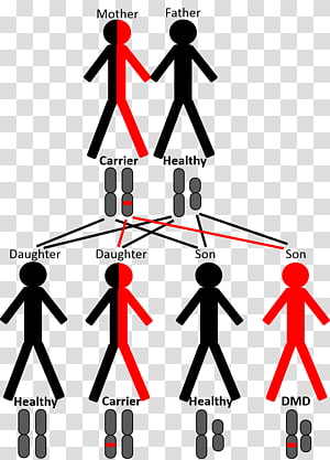 Line Human behavior Point Angle , line transparent background PNG clipart thumbnail