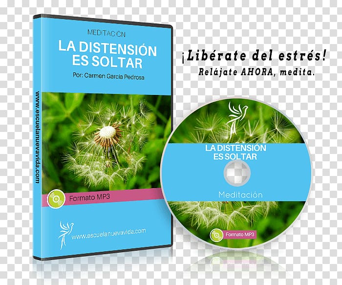 Ecosystem Life Brand Brochure School, ESTRES transparent background PNG clipart