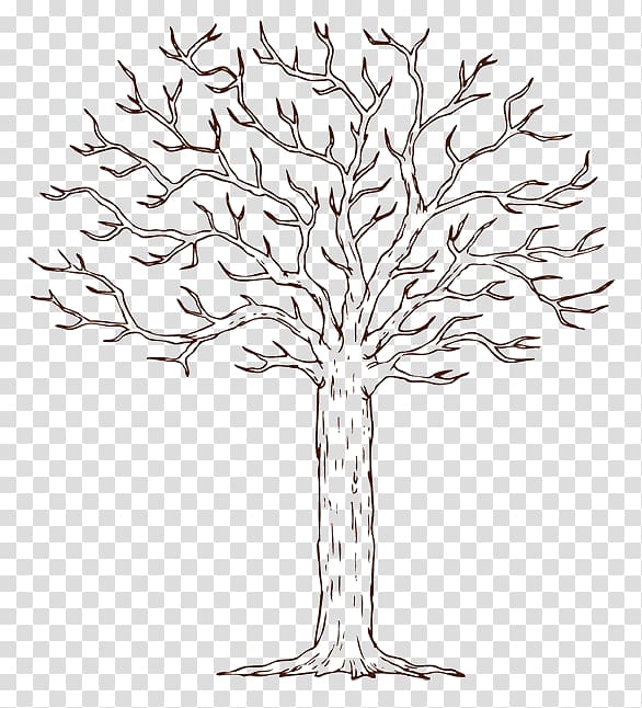 Template Tree Guestbook Microsoft Word Diagram, tree transparent background PNG clipart