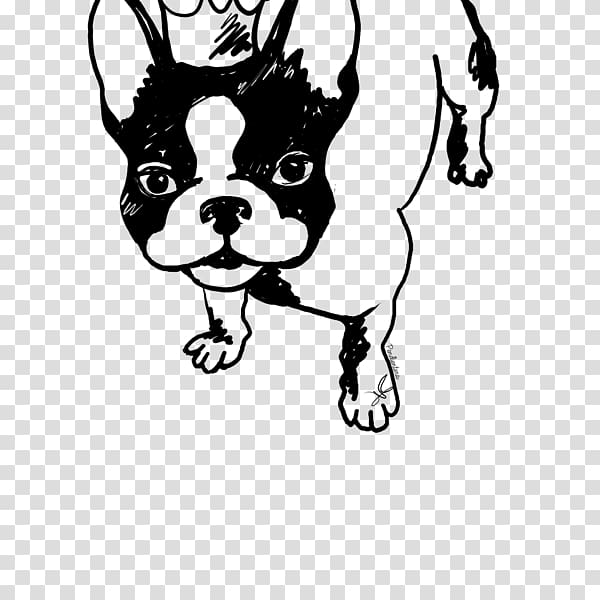 French Bulldog Boston Terrier Puppy Pug, bulldog frances transparent background PNG clipart