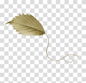Drawing Leaf , others transparent background PNG clipart thumbnail