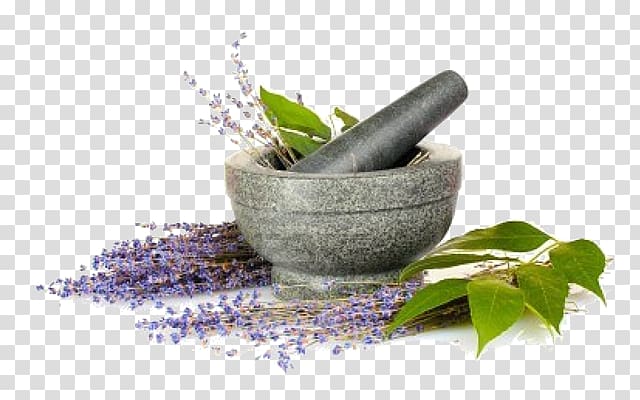 gray ceramic mortal and pestle illustration, Perfume Aromatherapy Odor Human body Oil, perfume transparent background PNG clipart