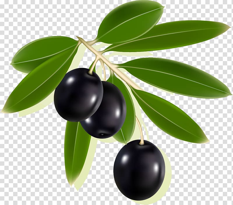 black olives , Olive Label , Olives transparent background PNG clipart