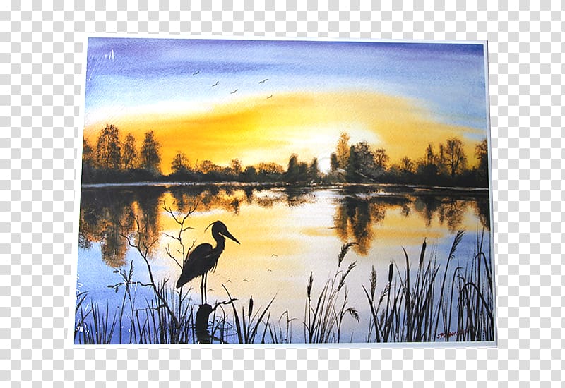 Watercolor painting Bayou Bird, painting transparent background PNG clipart