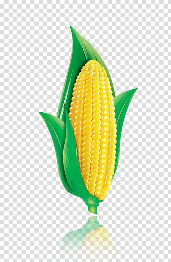 yellow corn art, Corn on the cob Corn flakes Maize Corn chip, corn transparent background PNG clipart