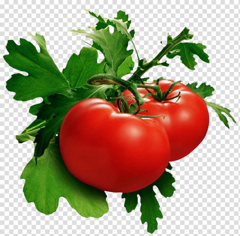 Leaf vegetable Tomato soup Food, Verdura transparent background PNG clipart