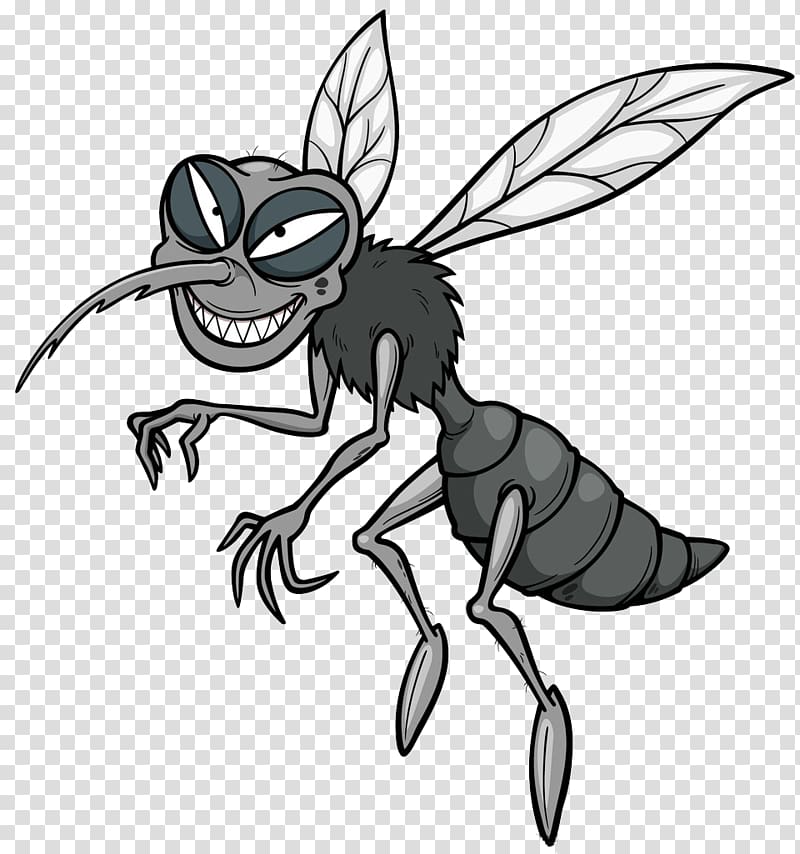 gray mosquito illustration, Mosquito Cartoon , Mosquito transparent background PNG clipart