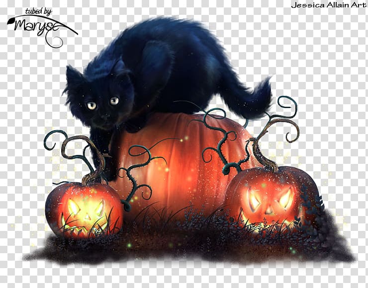 Halloween kitten Cat Trick or Treachery, mr. cat transparent background PNG clipart