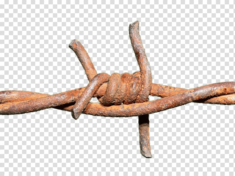 close-up of rusted barbwire, Barbed Wire Rusted Knot transparent background PNG clipart