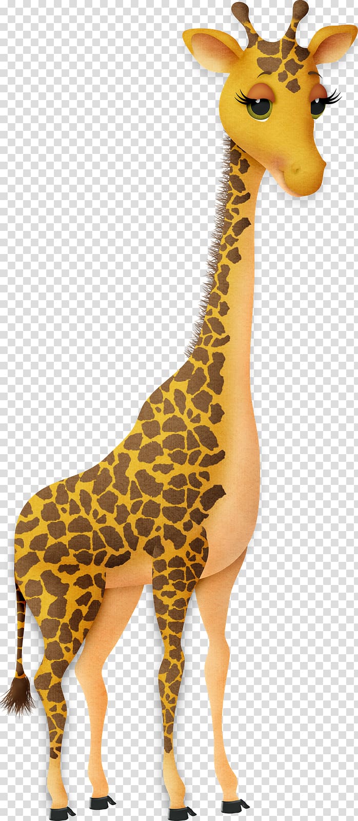 Cute giraffe cartoon HD wallpapers  Pxfuel
