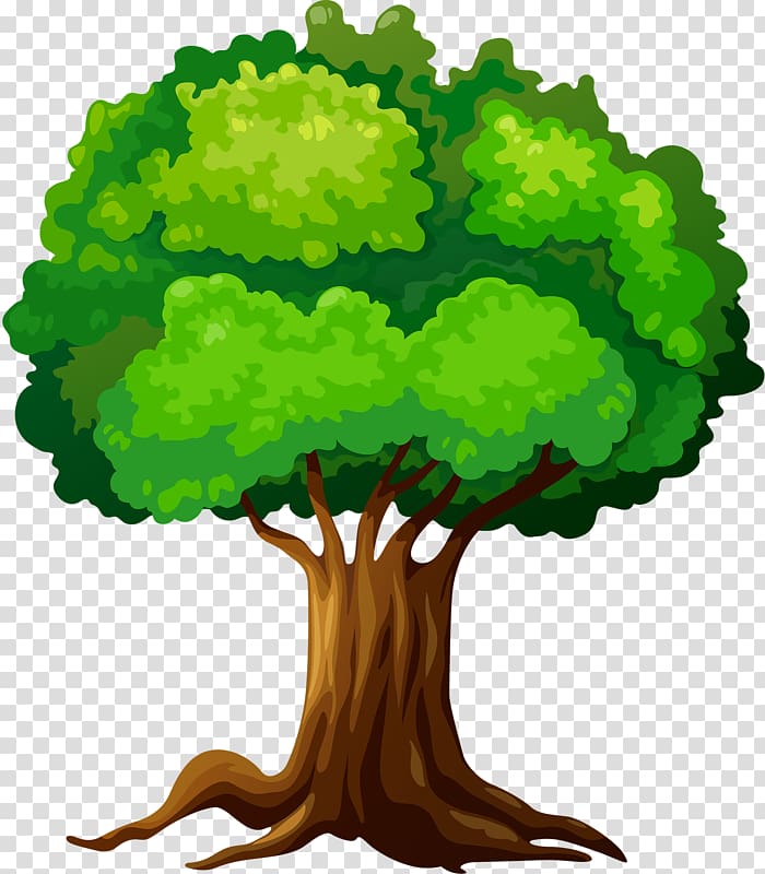 Tree , spring forward transparent background PNG clipart