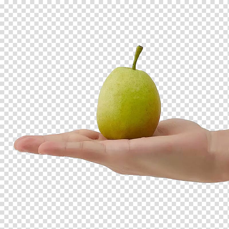 u65b0u7586u5e93u5c14u52d2u9999u68a8u80a1u4efdu516cu53f8 Hand Pear, Satisfy pears transparent background PNG clipart